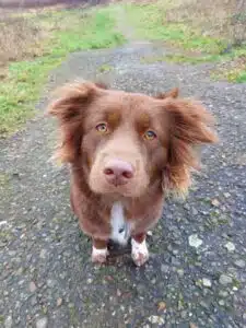 Tiernahrung Reico Produkte af0cf1f6-c179-4d83-a544-f7f2d823047e