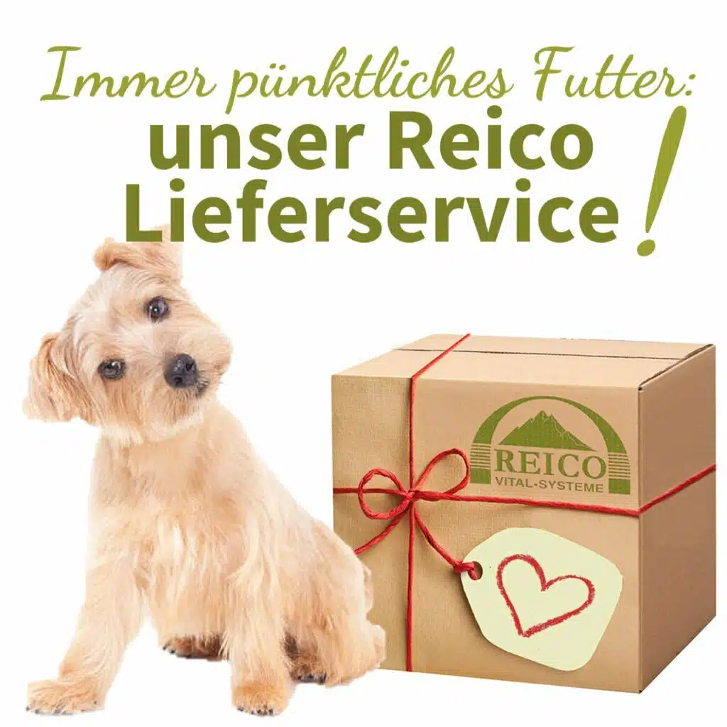 Tiernahrung Reico Reico Lieferservice Tiernahrung Reico Artgerechte Tiernahrung von Reico