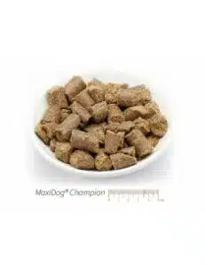 maxidog-champion