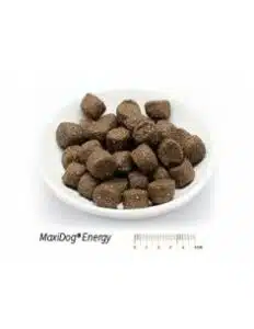 maxidog-energy