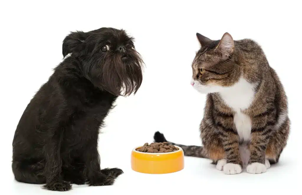 Reico Futterberatung